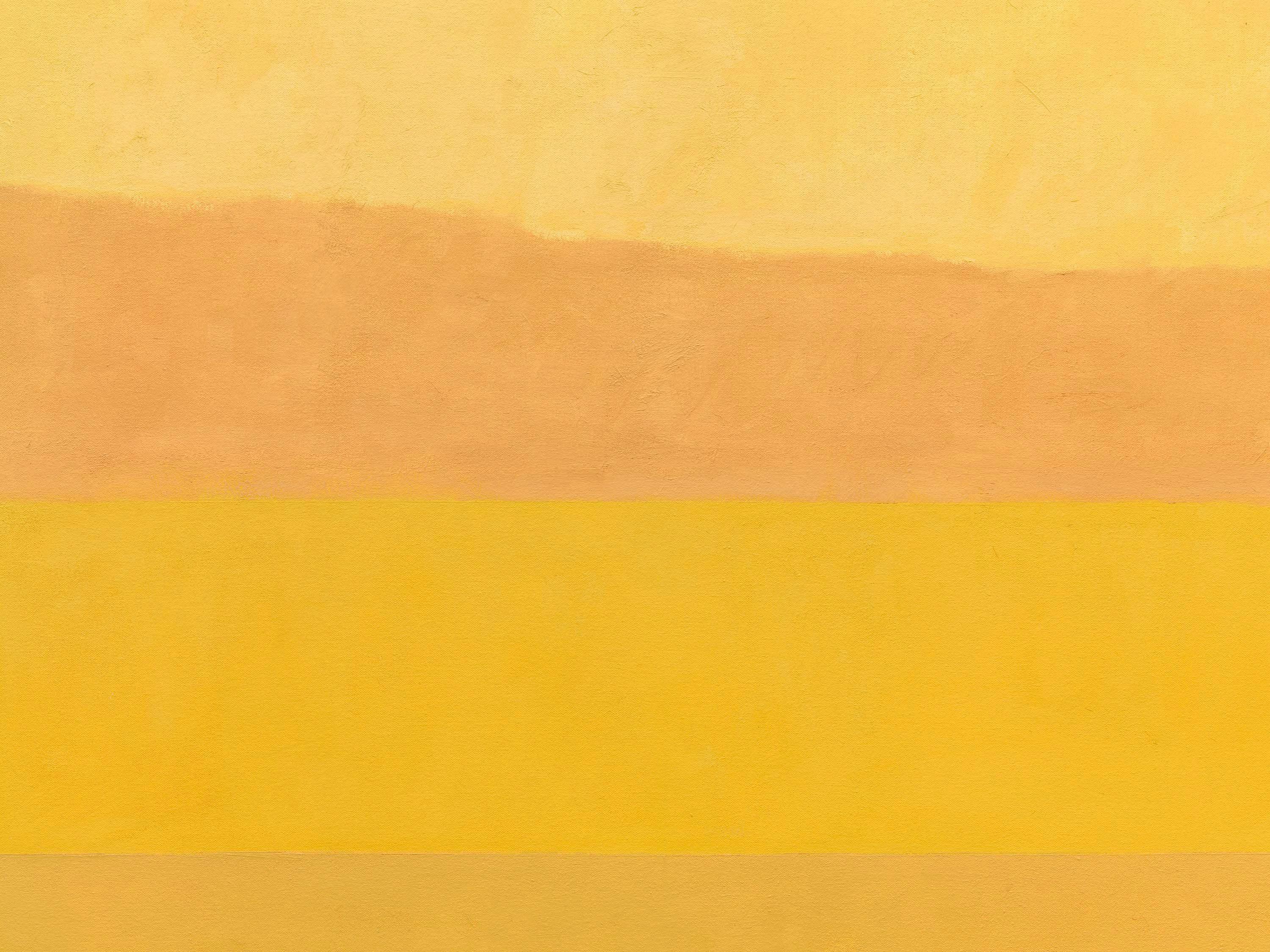 A detail from a painting by Merrill Wagner, titled ﻿Ucross 2002: 5 Brands of Naples Yellow, dated 2004.