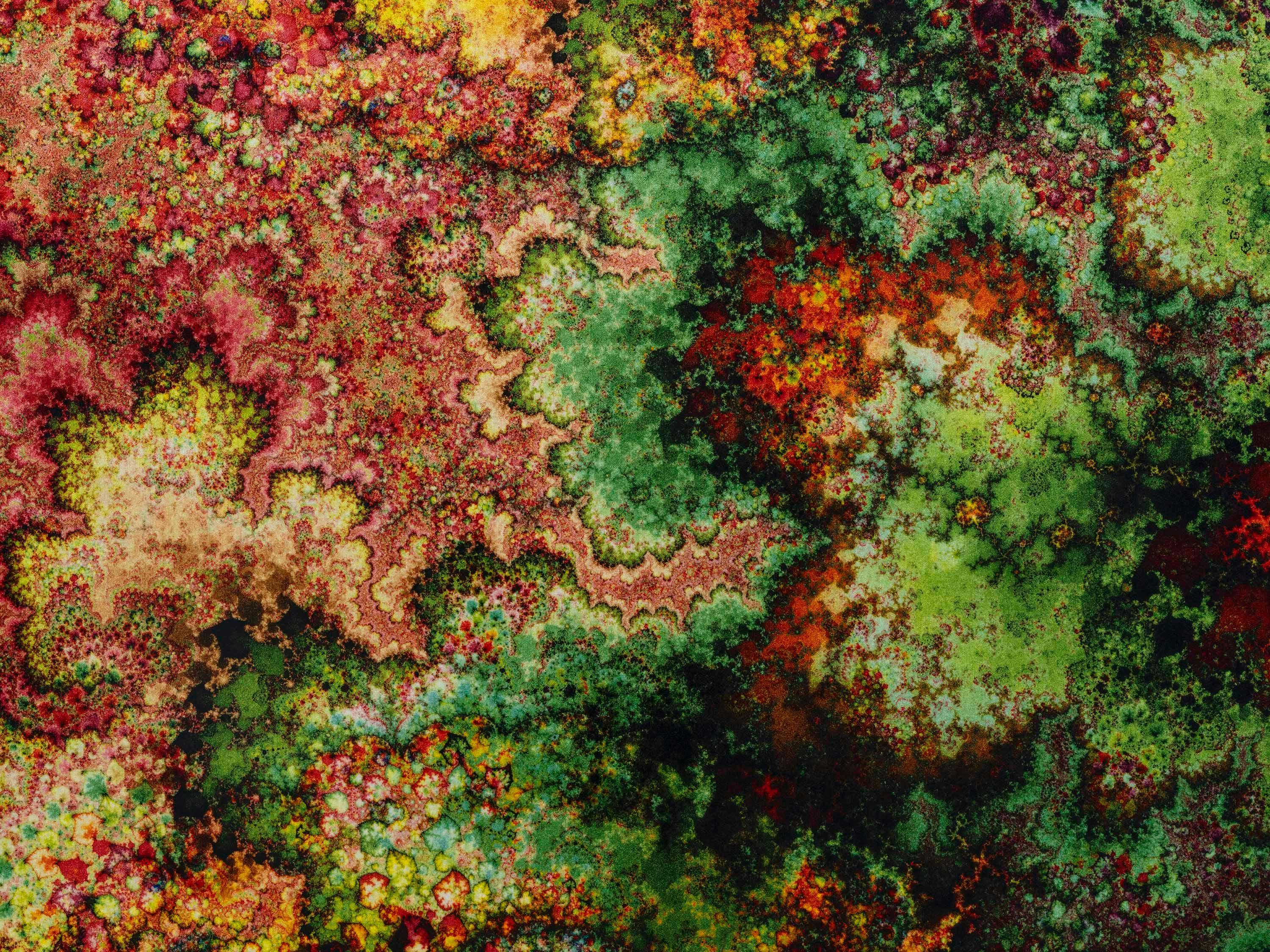 A detail from a Colaris on velour carpet by Thomas Ruff, titled d.o.pe.05 I, dated 2022.