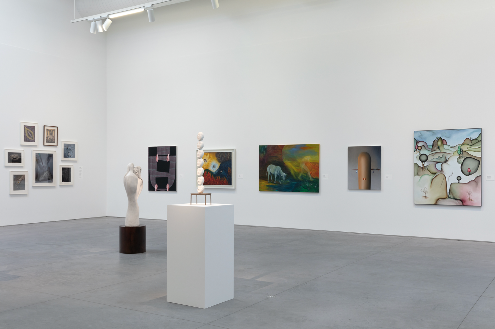 Installation view of the exhibition Room by Room: Concepts, Themes, and Artists, at the The Rachofsky Collection, in Dallas, Texas, dated 2023.