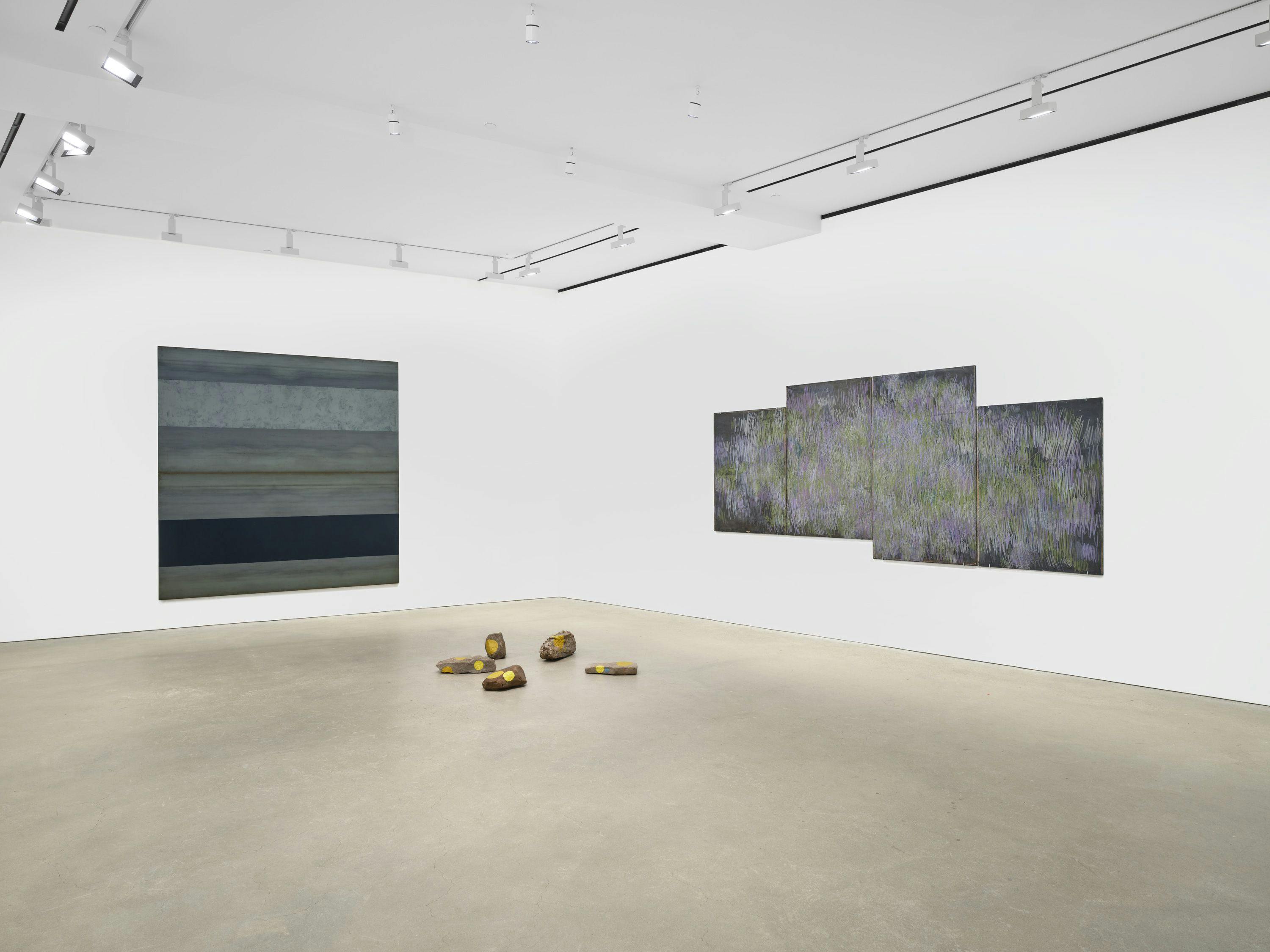 An installation view of the exhibition, Merrill Wagner: Nature, at David Zwirner in Hong Kong, dated 2024.
