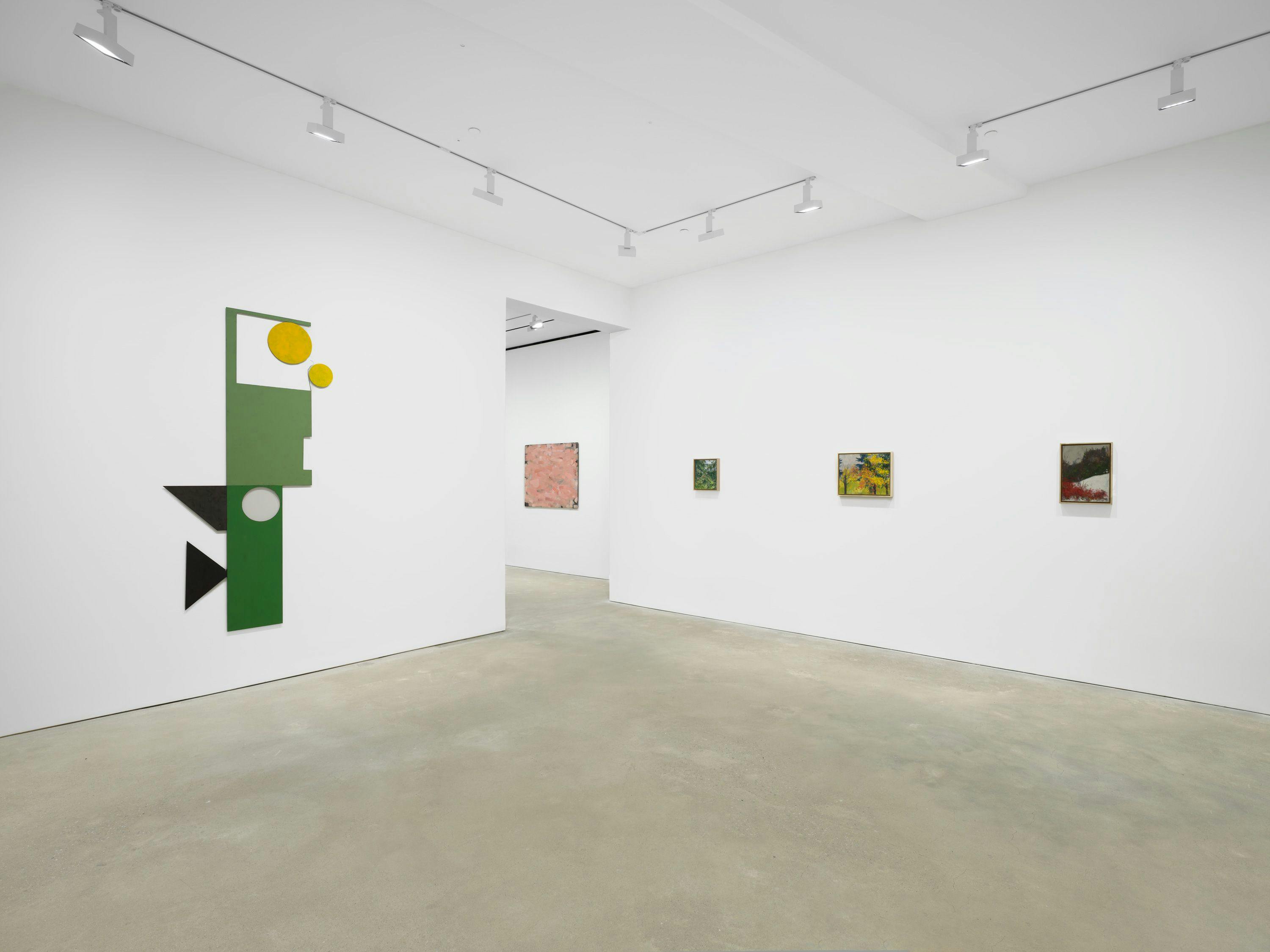 An installation view of the exhibition, Merrill Wagner: Nature, at David Zwirner in Hong Kong, dated 2024.