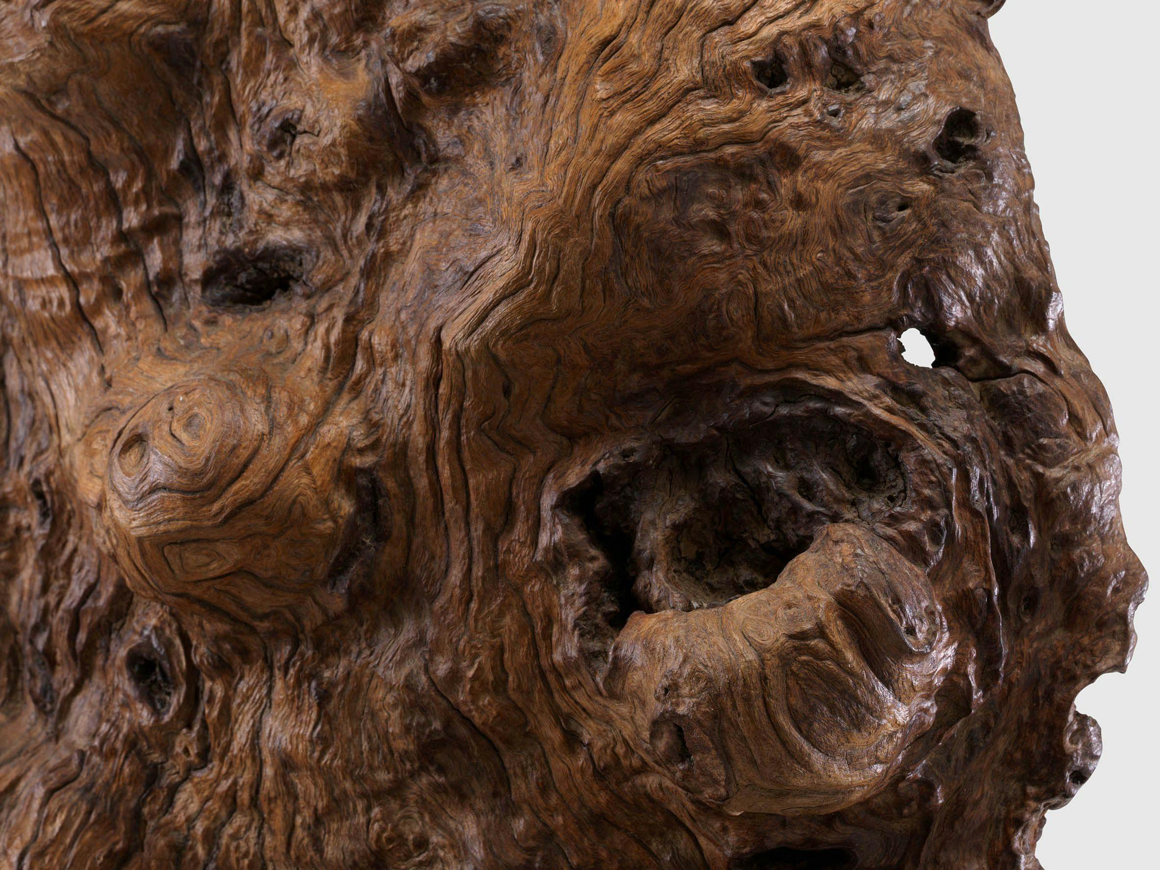 A detail from a burl wood sculpture by Sherrie Levine, titled Scholar Figure, dated 2023.