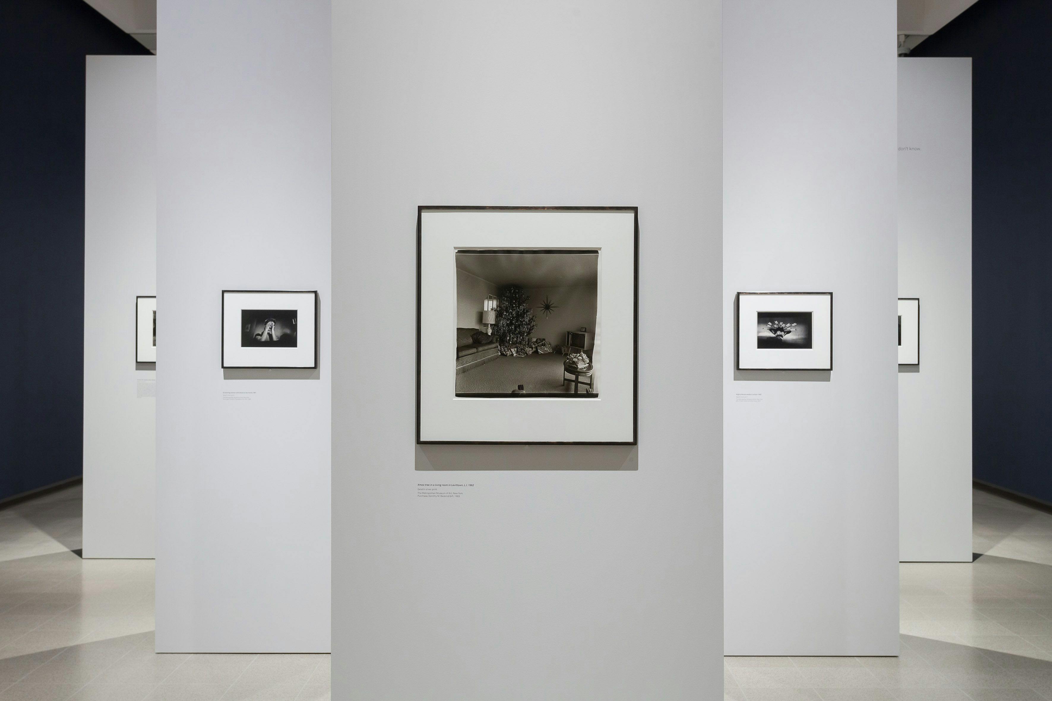 Installation view of the exhibition titled diane arbus: in the beginning at the Hayward Gallery in London, dated 2019.