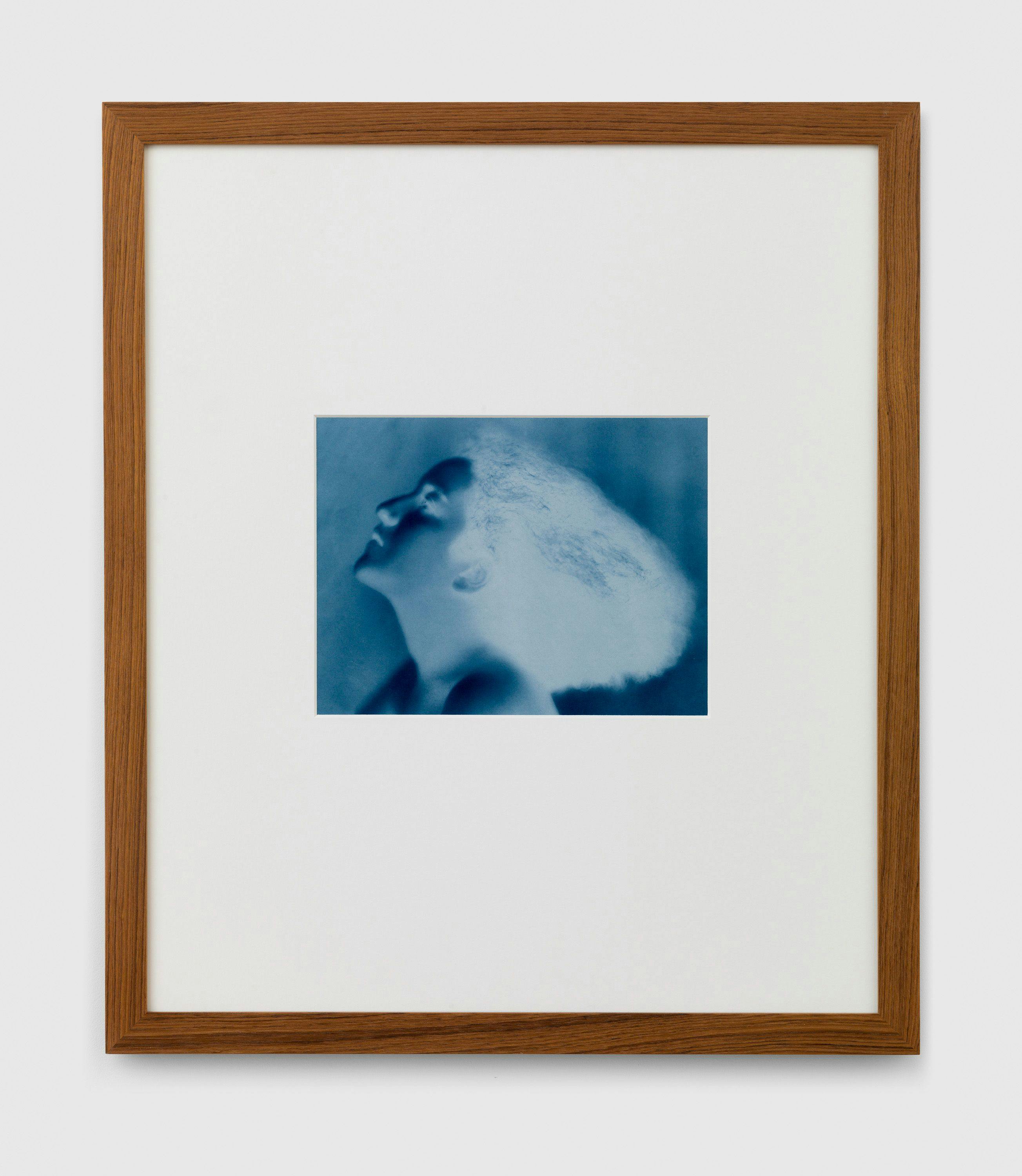 A photograph by Thomas Ruff, titled neg◊nus_01, dated 2014.