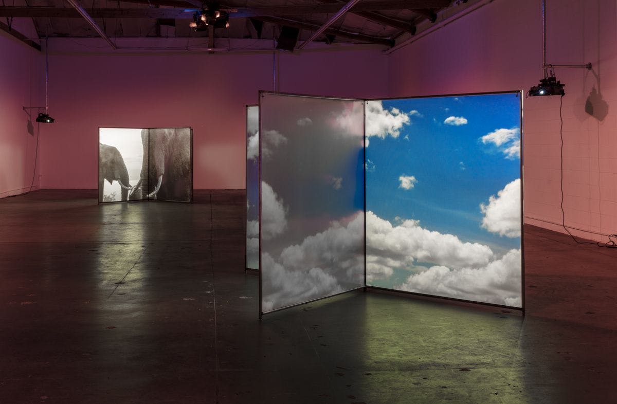 Installation view of A Runaway World at The Mistake Room in Los Angeles, dated 2017.